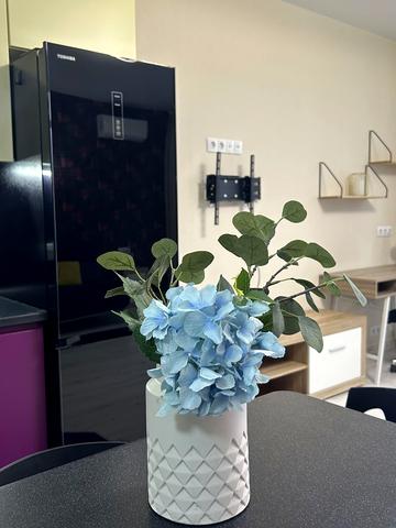 Олени Пчілки вул., 7