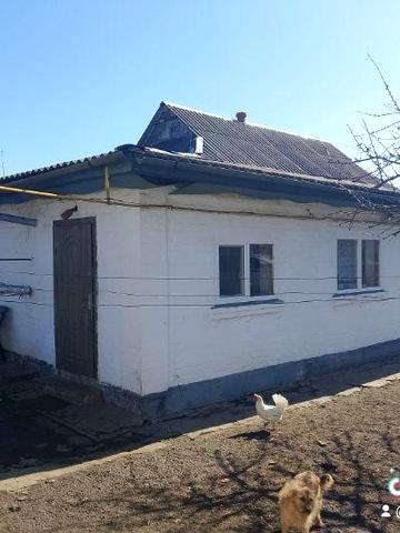 Продам будинок. С. Чепеліївка. Білоцерківський район. Від власника.