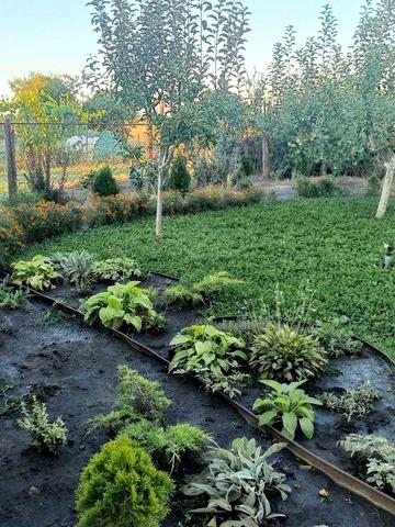 Продам дачу в районі ПЗТО