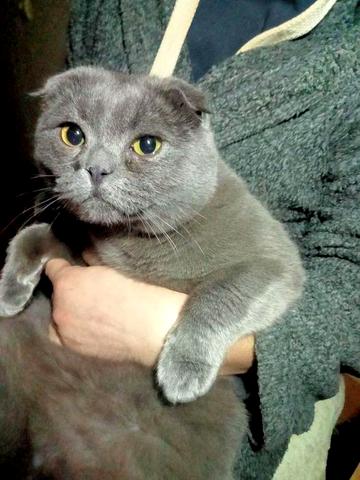 Здам часть дома на дослидной