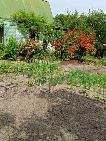 Дача за ЖД мостом біля Вараша