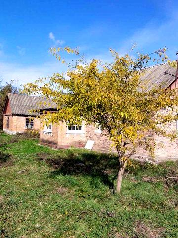 Продається будинок в селі Шумівці ,Хмельницка область