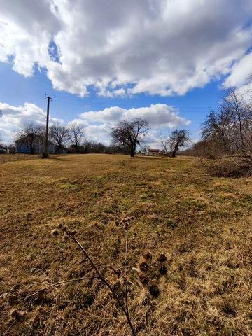 Земельна ділянка з будинком в с. Полянецьке