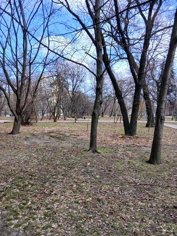 Святошинский р-н  Пушиной 49