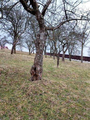 Продам будинок під дачу