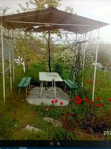 Бюджетна дача для літнього відпочинку