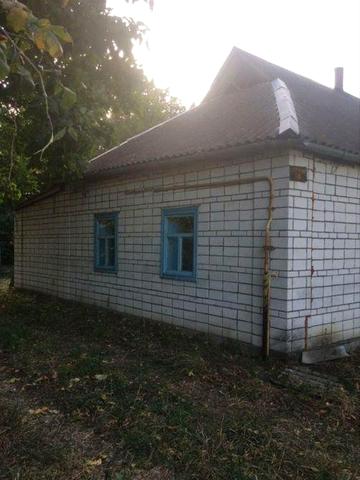 Продам будинок в с. Коптевичівка, Бориспільський р- н , Київська обл,