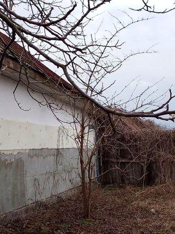 Продається будинок вулиця Тиха 23