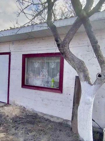 Пропоную дачну ділянку з будинком ця пропозиція саме для Вас