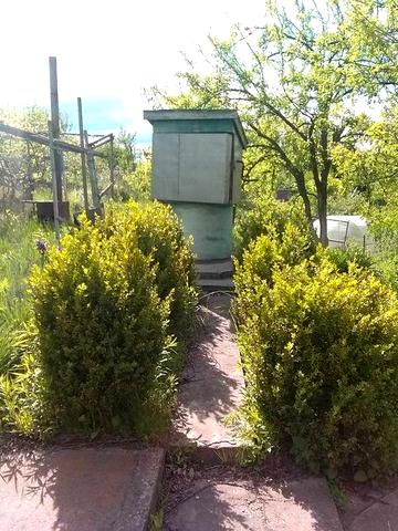 Дача Обухівський р-н