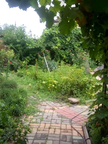 Одеської громади вул. (Авдєєва-Чорноморського)