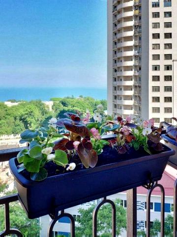 Аркадійське плато вул. (Гагаринське плато), 5