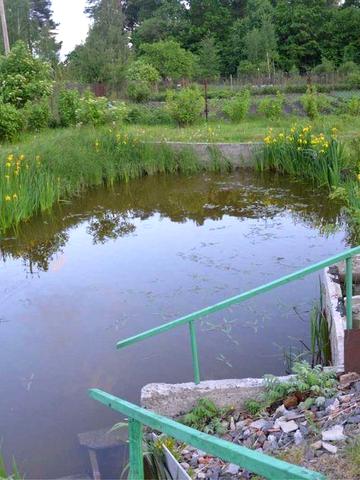 Продам дачу ! Актуальна ціна , хороший стан.