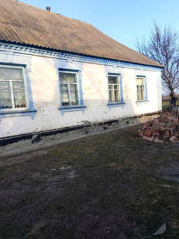 Продам будинок в селі Вербова, Білоцерківський район.