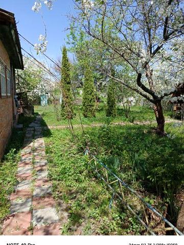 Продам дачу с. Хвилівка Ніжинський р-н