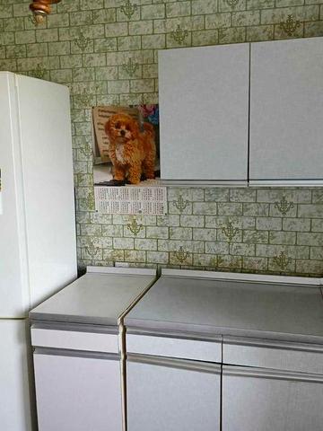 Продам 1 ком.кв 40 м. эт 4/5 по ул.Тираспольской с автоном отоплением.