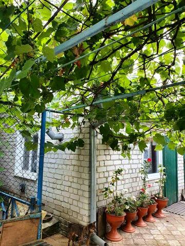 Продаж Будинок Буринь