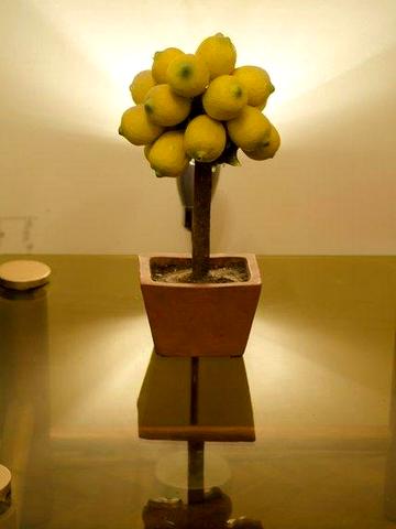 Оренда 2/х кім в центрі міста Львова