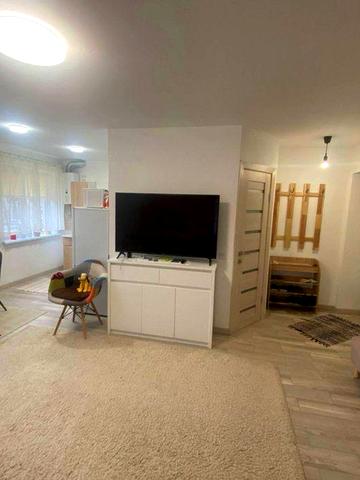 Оренда 1,5 кімнатної квартири на Проспекті Свободи