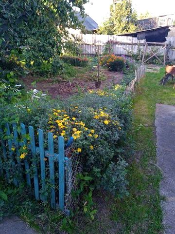 Будинок, дім з гаражем