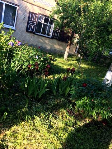 Будинок у селі Деньги, Черкаська обл, велика ділянка