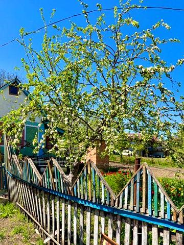 Продаж будинку в тихій місцевості