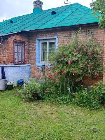 Продам хату с.Тудорковичі Шептицького району