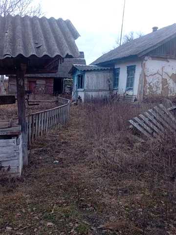 Продам будинок з ділянкою