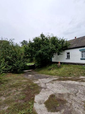 Продаж будинку в мальовничому с. Трипілля