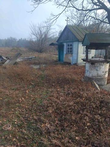 Продам будинок,   біля лісу