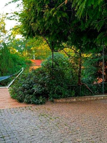 Дом 6-комн. ул. Толбухина | Можно под бизнес-коммерцию