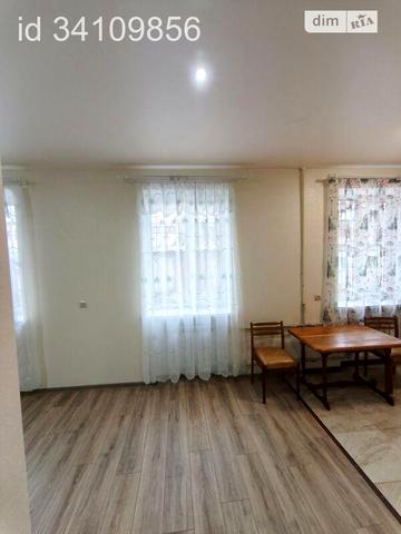 Довгострокова оренда 1к Квартира Камишева Івана вулиця