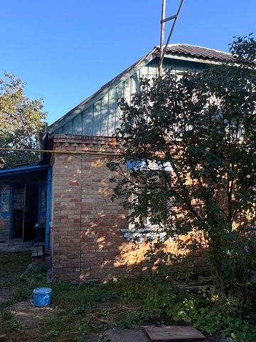 Будинок у селі Петрушки