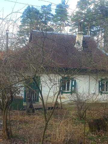 Забір'я.(Жорнівка)  будинок 62м.кв., на ділянці 15сот., майже в лісі.