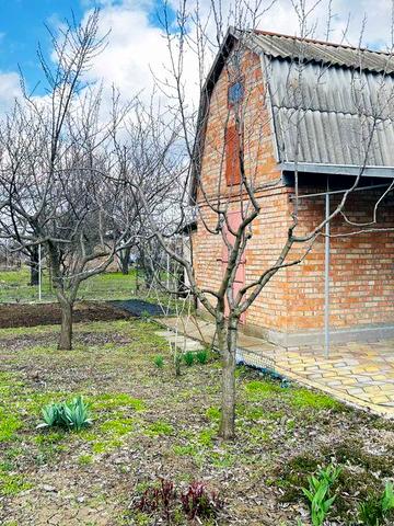 Продається доглянутий сад із виноградником та житловим будинком.
