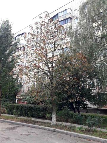 Оренда 1-кім.кв 30м, 7/9 Київ Борщагівка вул.Семеренка 26--вільна