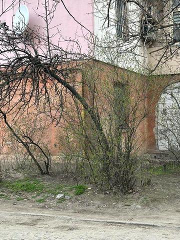 3к квартира угол ул. Софьи ковалевской и пр. Правда 65 м2