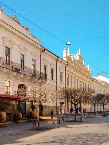 Ольги Кобилянської вул., 38