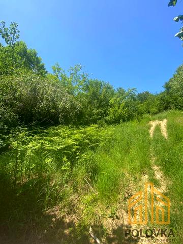 Солочин, Мукачівський, Закарпатська область 40000 USD