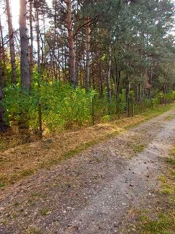 Будинок капітальний дача  біля лісу  С. Благодатне