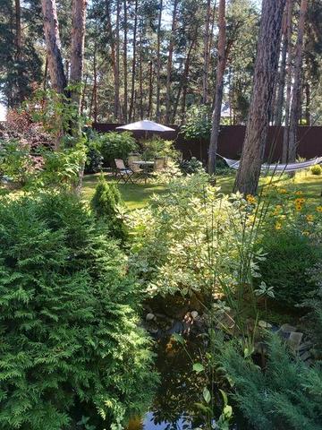 Оренда сучасного 2х поверхового будинку в сосновому лісі, Проців.