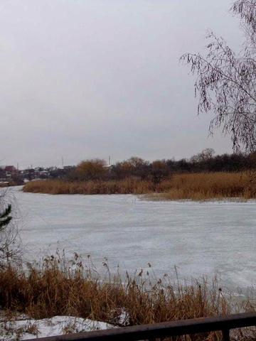 сдам дачу в Подгородном не далеко от реки