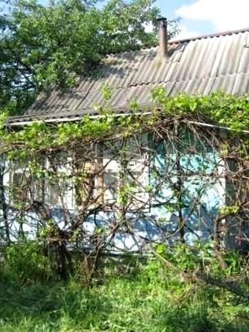 Здаю на літо дачу 15 км. від Києва, Глеваха,