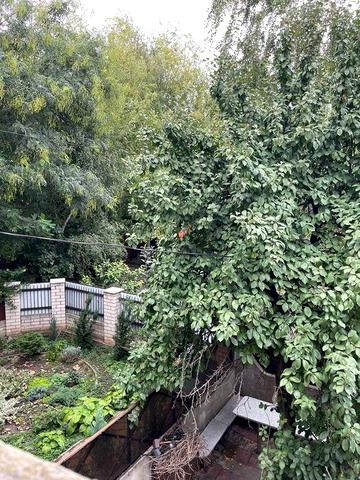 Сдам дом Пастера 4 к 150 м. в центре гор., животных можно,авто 3 шт