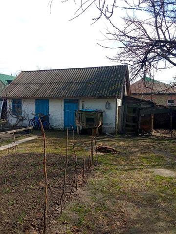 Продам будинок власник Остер