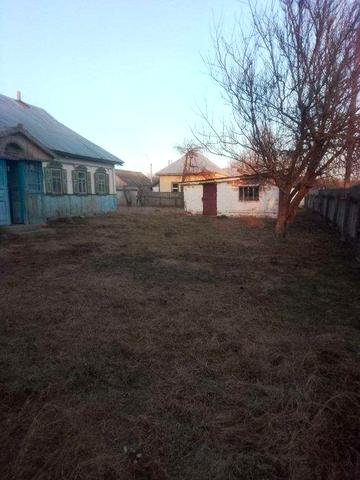 Продам будинок в селі Локнисте