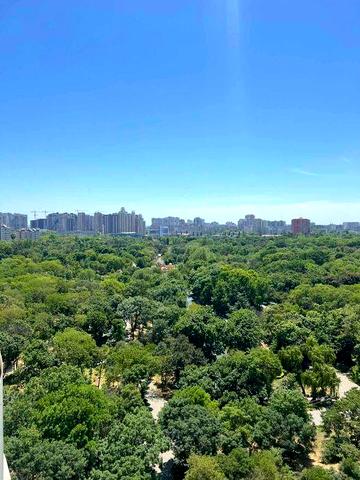 Сдам квартиру в ЖК "Кукуруза", пр. Шевченко