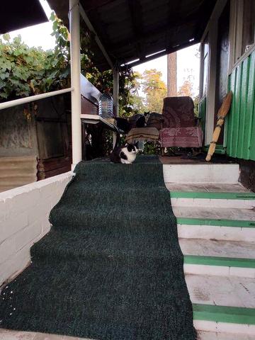 СРОЧНАЯ продажа части дома в экологически чистом районе Сосновка