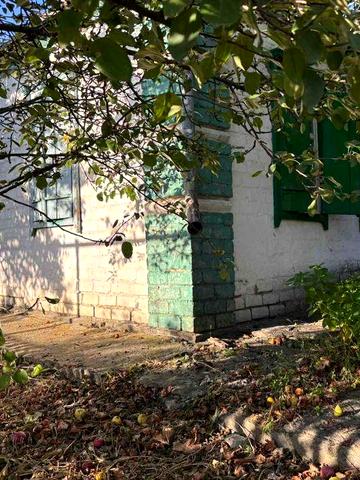 Продам будинок в Царичанці