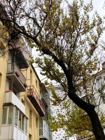 Мусліма Магомаєва вул., 10